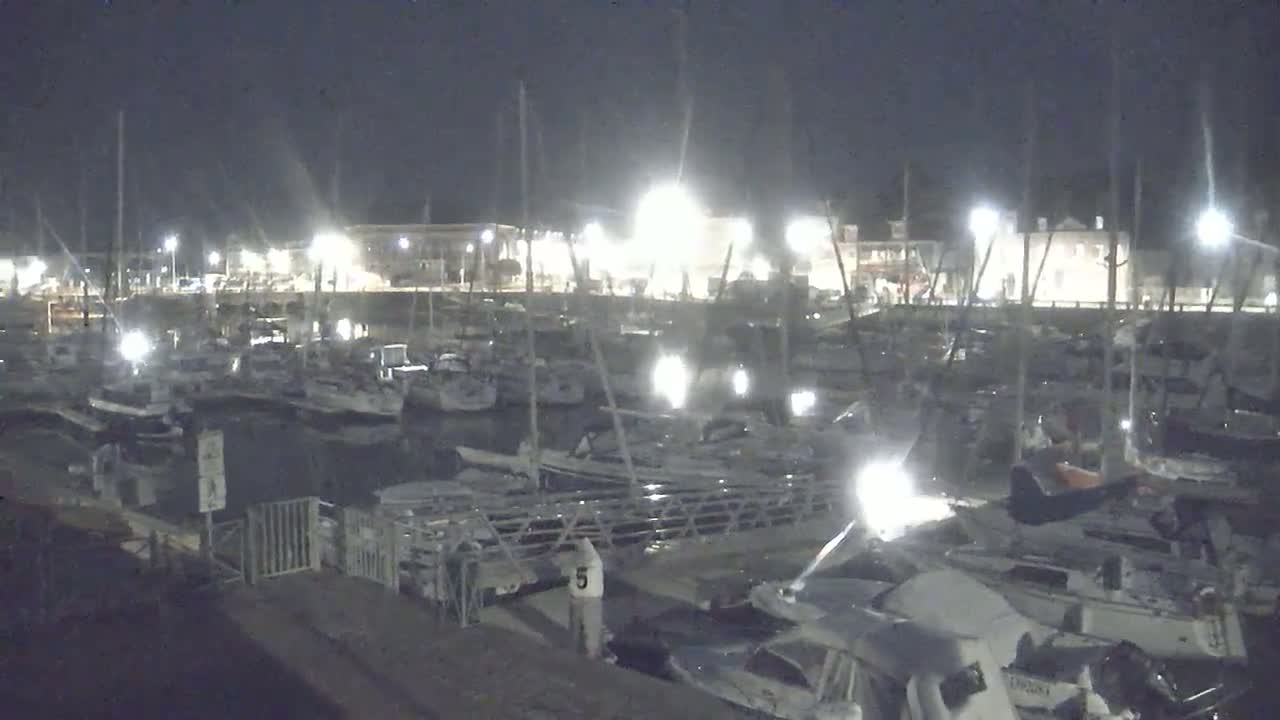 A nighttime view of a marina filled with numerous sailboats and yachts, illuminated by artificial lights.