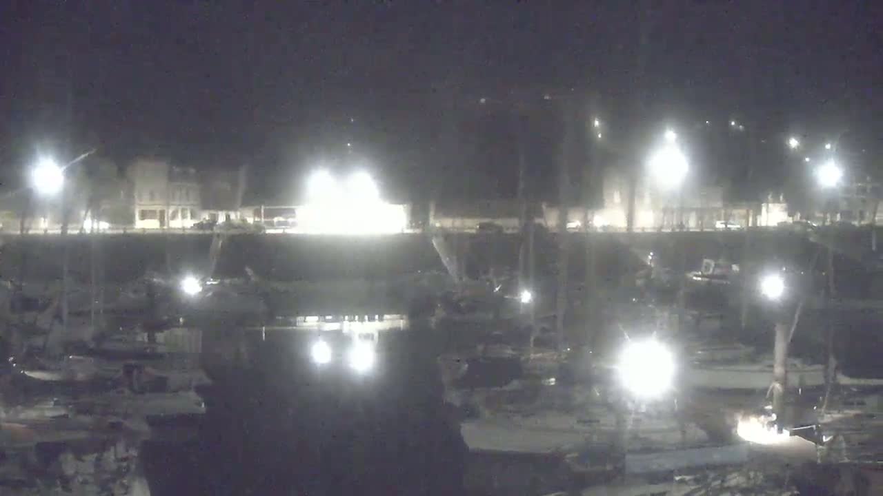 A nighttime view of a marina with many boats docked, illuminated by artificial lights, under a dark sky.