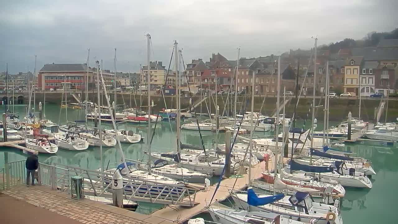 A marina filled with numerous sailboats and yachts is situated in front of a town under an overcast sky.