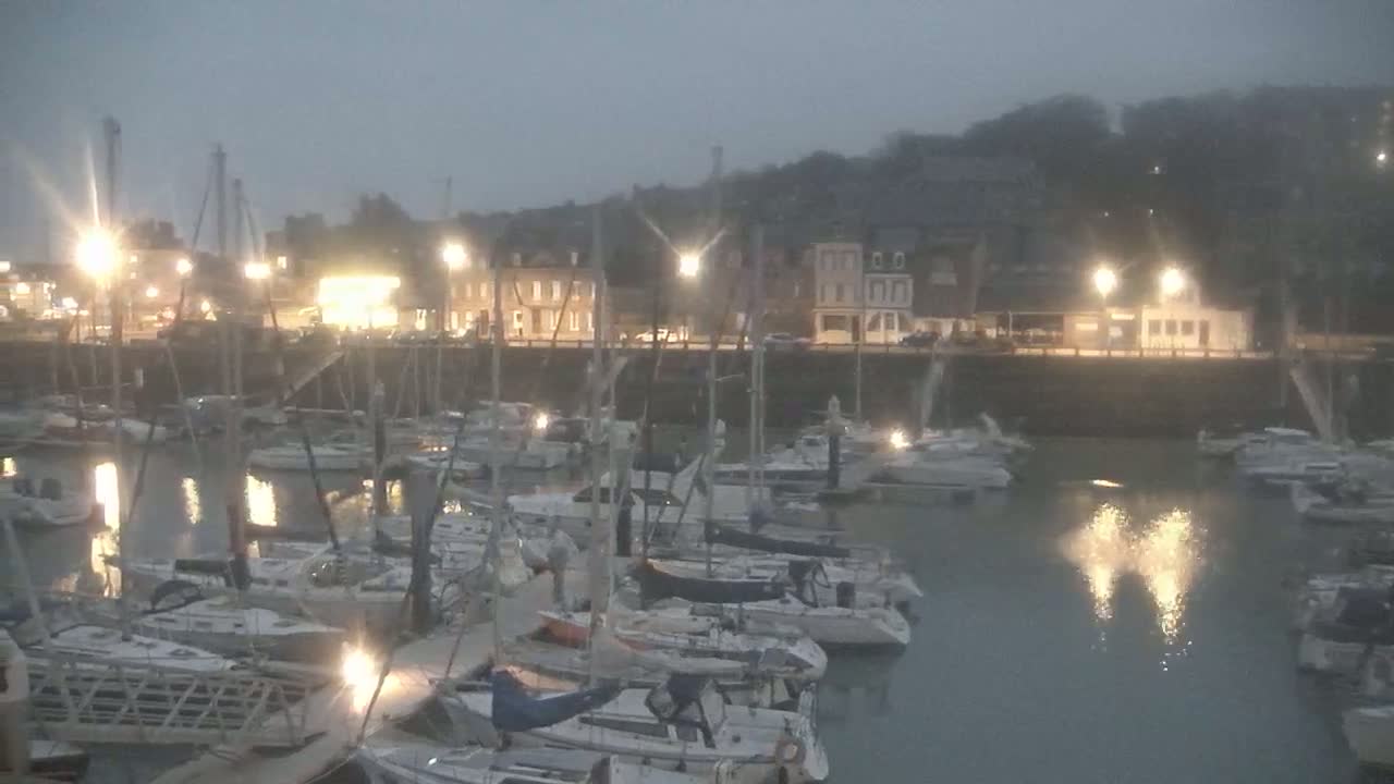 Many sailboats are docked in a harbor at night under a hazy sky.