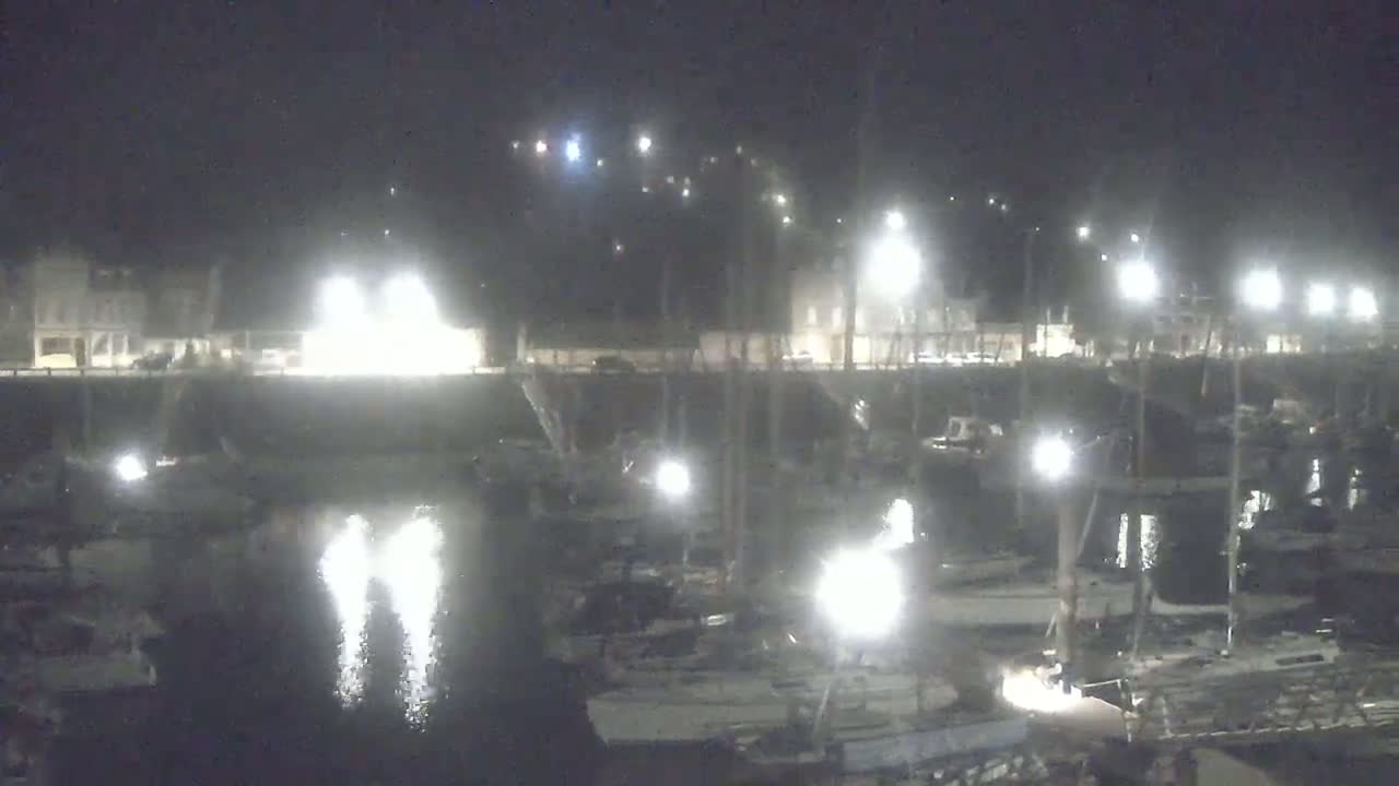 A marina at night, illuminated by many lights, shows numerous boats docked along a waterfront under a clear, dark sky.