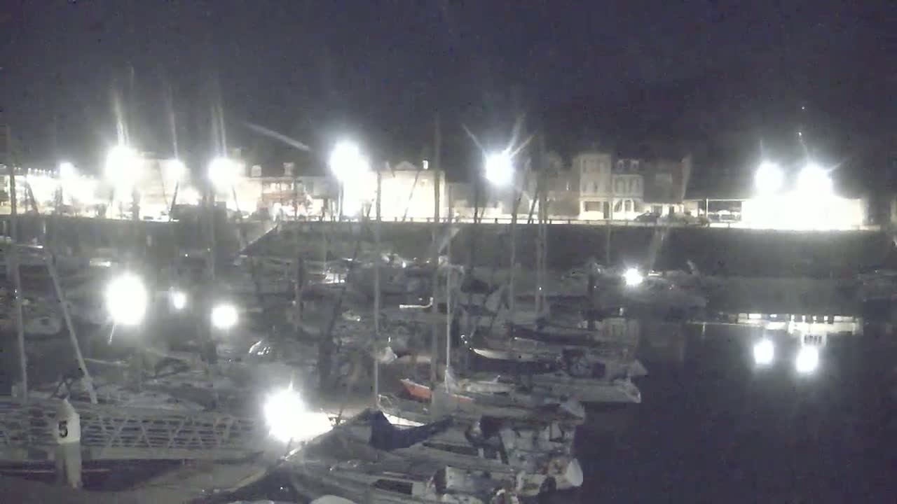 Many boats are docked at a marina at night, illuminated by bright lights, with buildings visible in the background.