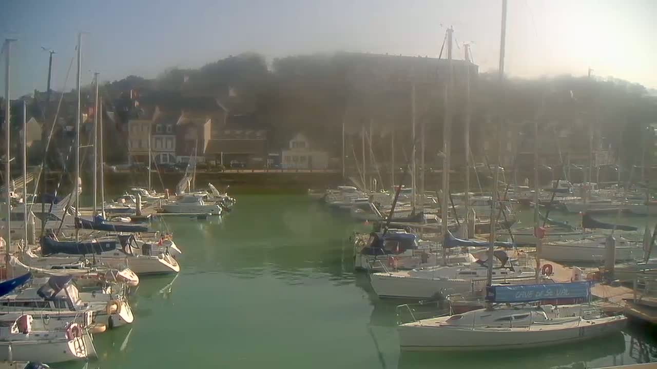 Many sailboats are docked in a calm, hazy harbor next to buildings on a hillside.