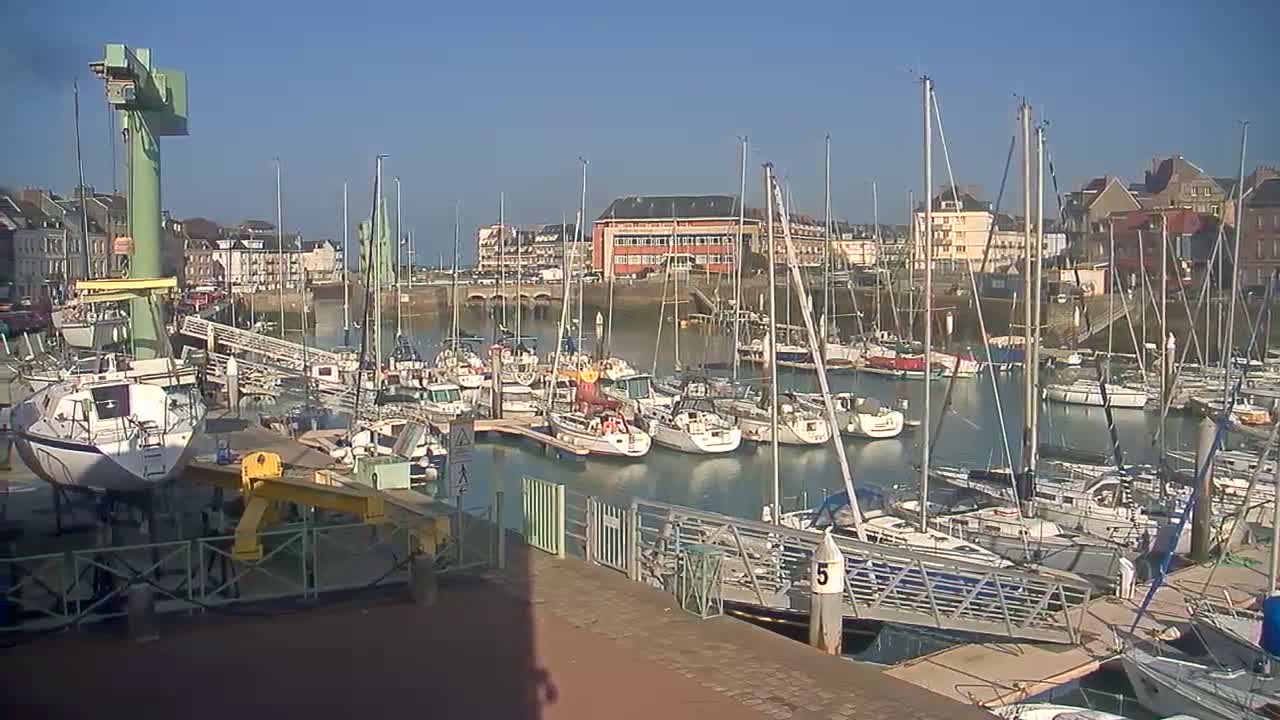 A harbor filled with sailboats on a sunny day, with a building and crane visible in the background.
