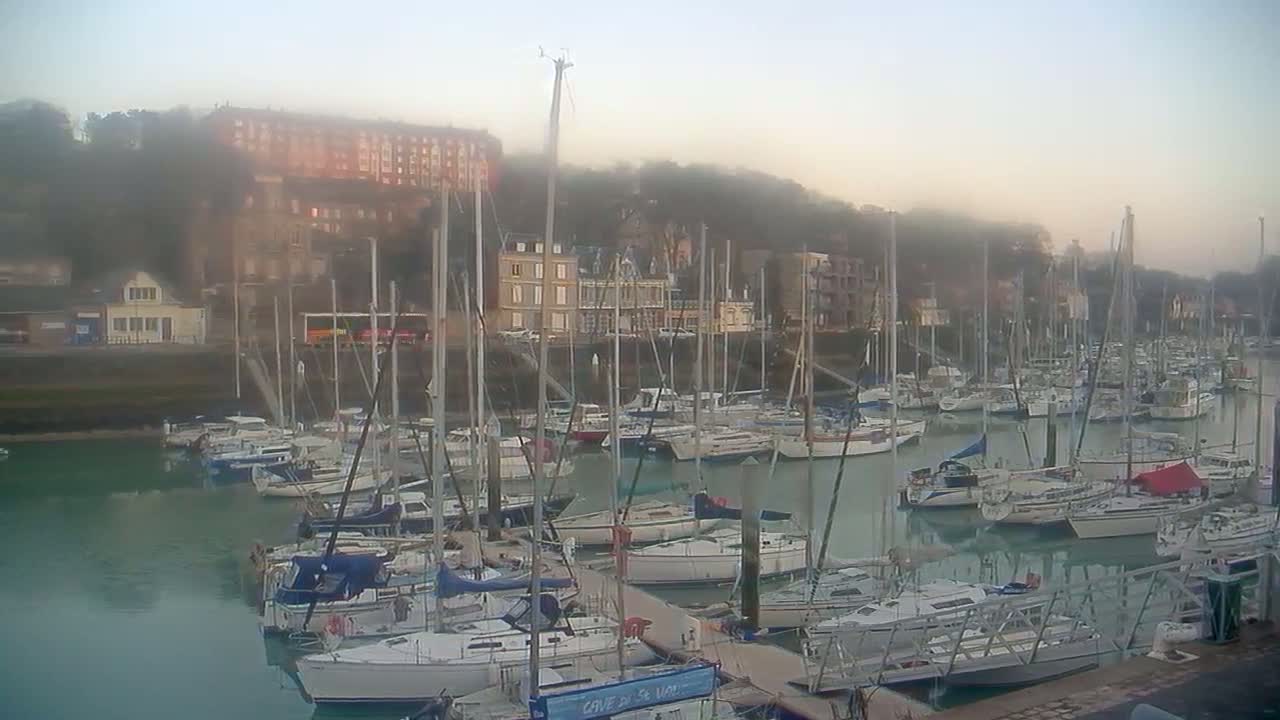 A marina filled with numerous sailboats is shrouded in fog, with buildings and trees visible in the background.