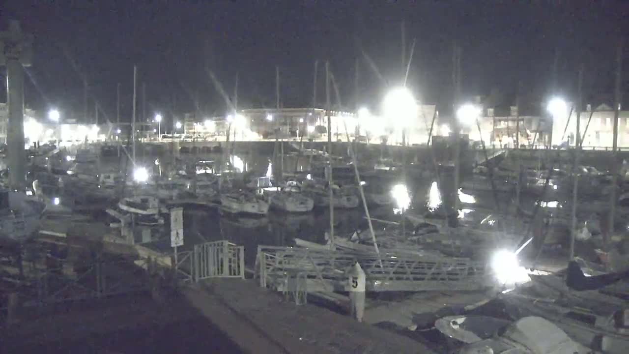 A marina filled with numerous boats is illuminated at night.