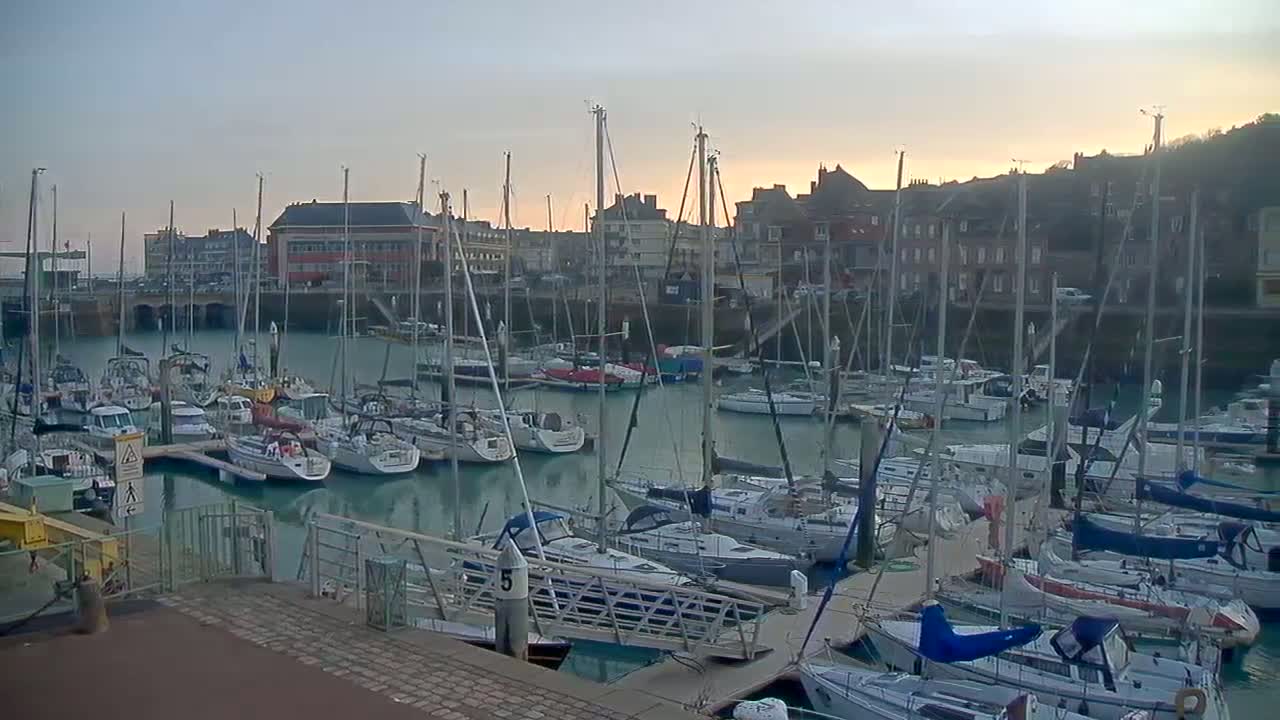 Many sailboats are docked in a harbor at sunset under a mostly clear sky.