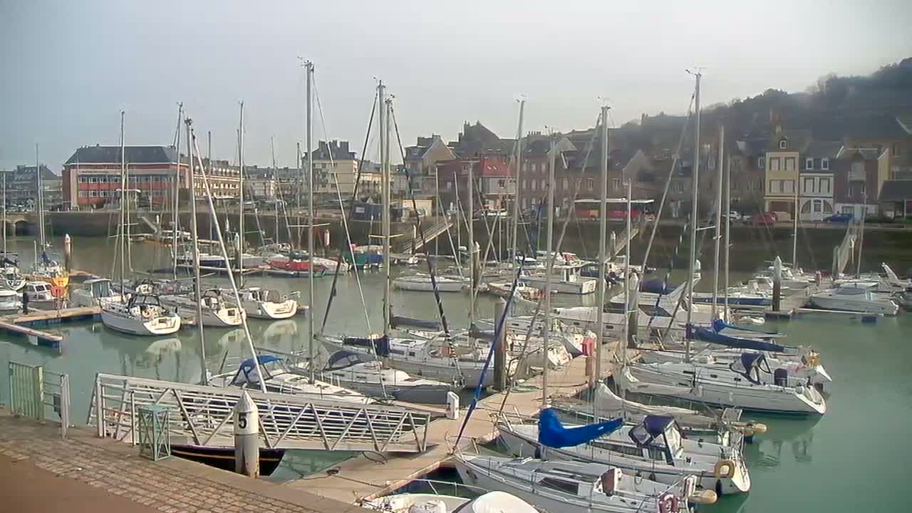 A calm harbor filled with numerous sailboats docked along piers, with buildings and a hillside visible in the background under a hazy sky.