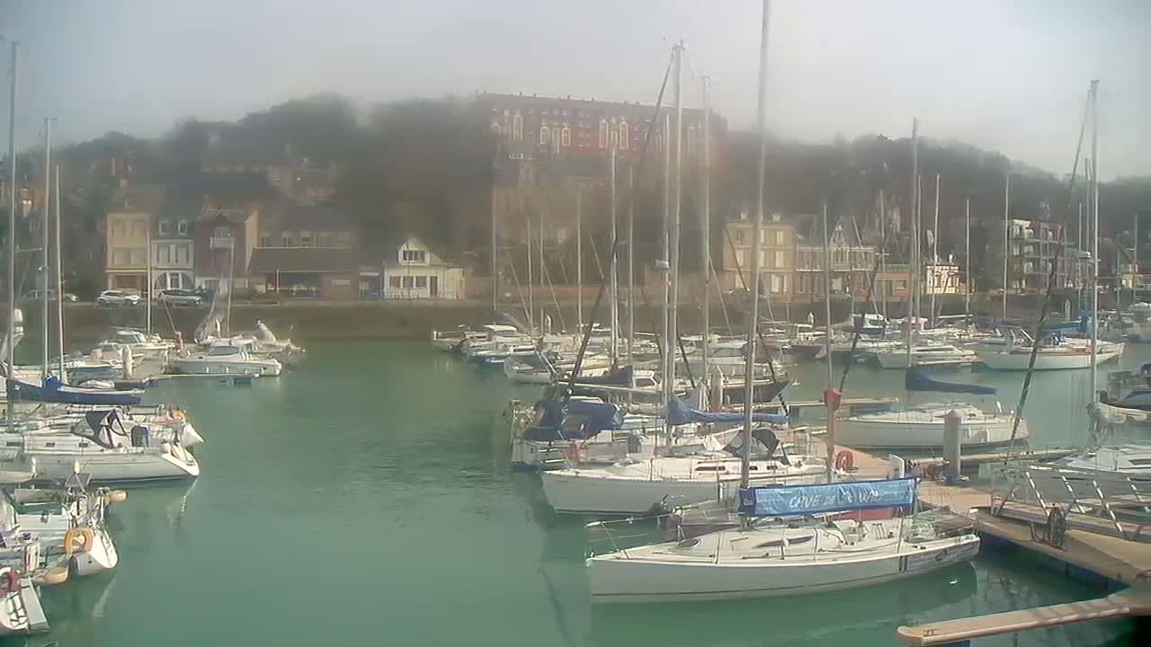 A marina filled with sailboats is situated in front of a hazy town, nestled against a hillside.