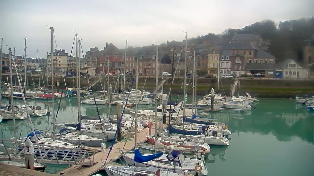 Numerous sailboats are moored in a calm, green harbor, with a town of multi-storied buildings rising on a hill in the background under an overcast sky.