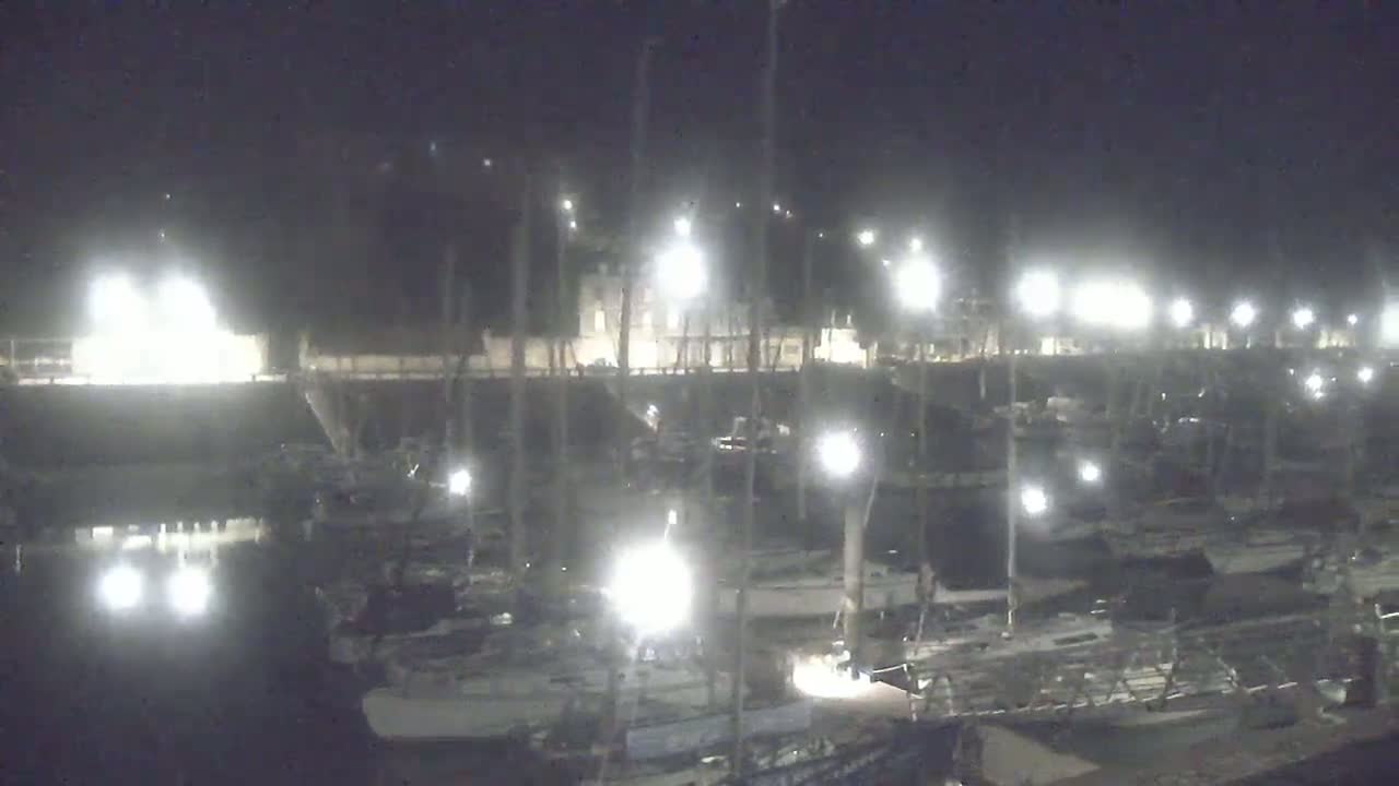 A brightly lit marina at night is filled with numerous boats and masts.