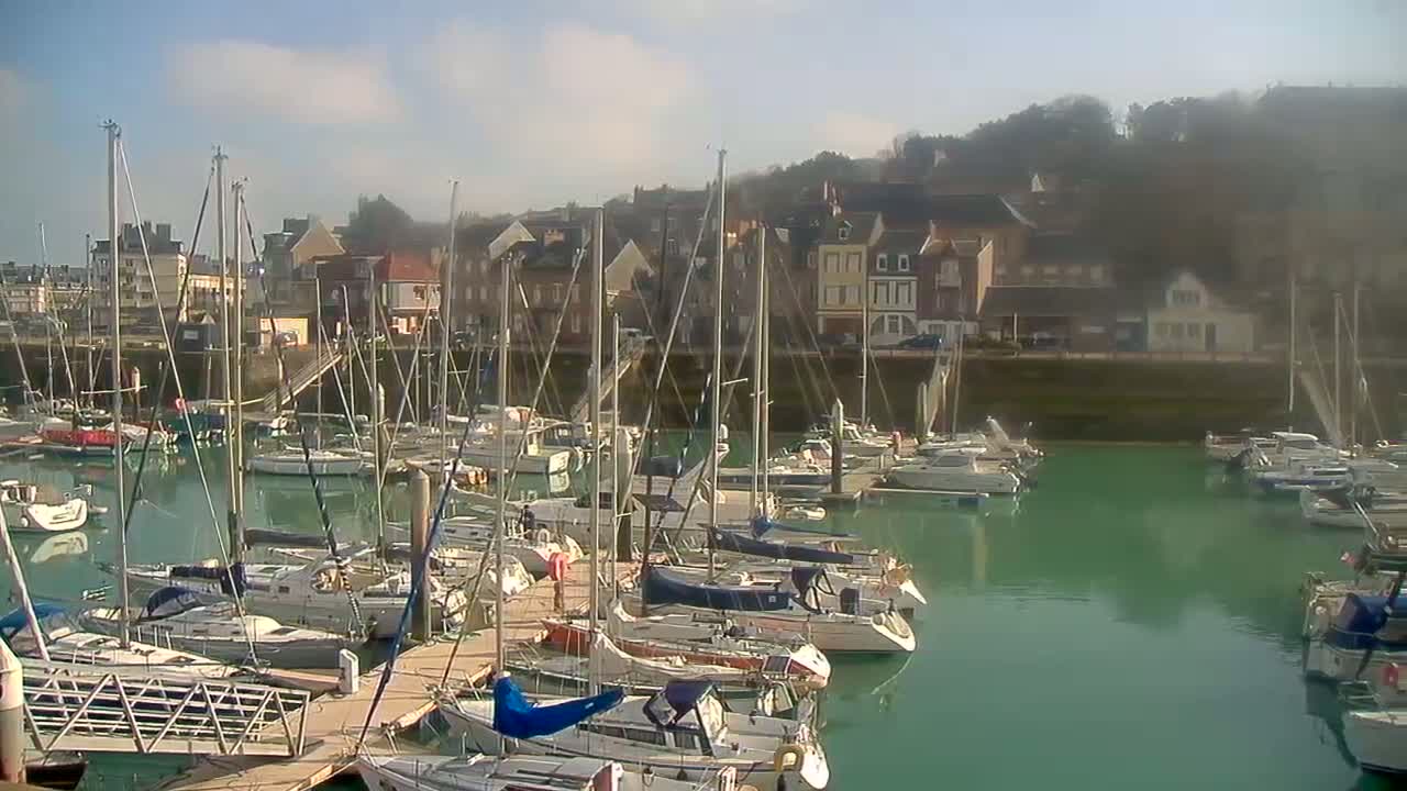 A marina filled with sailboats is nestled beside a town on a sunny day.