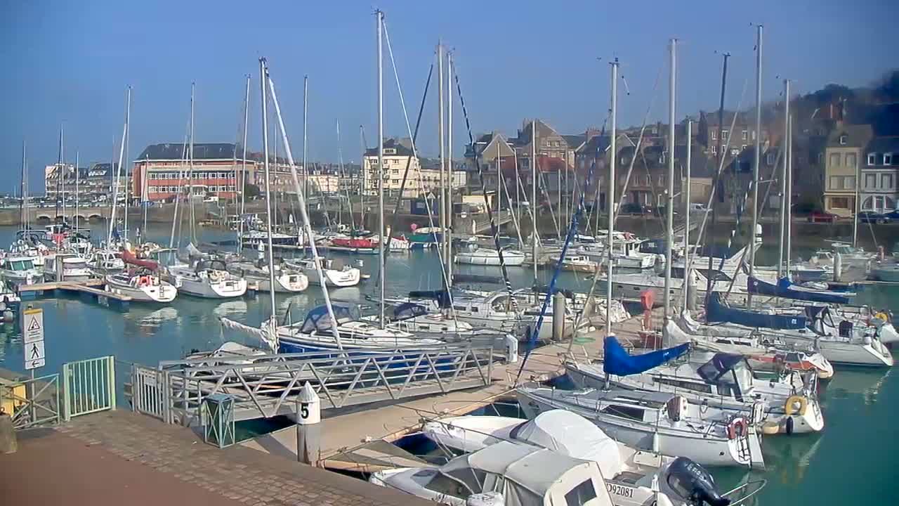 Many sailboats are docked in a marina on a sunny day.
