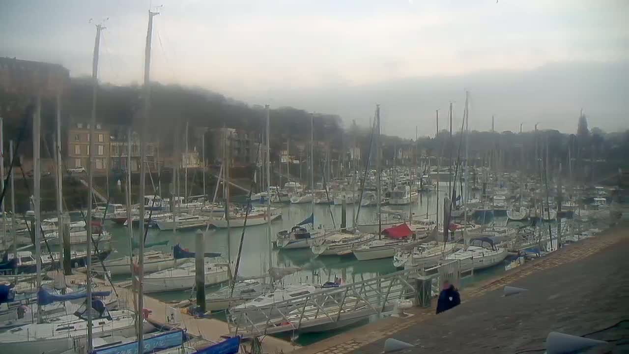 Many sailboats are docked in a marina on a foggy day.