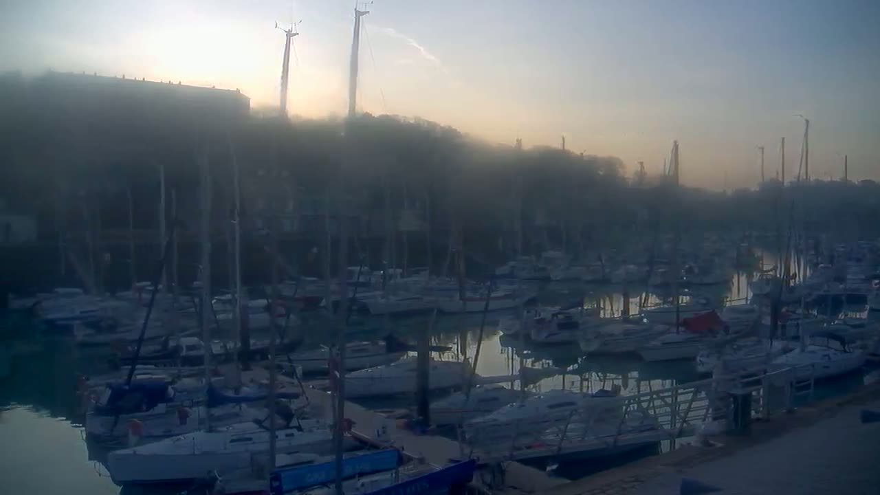 Many sailboats are docked in a marina on a foggy morning.