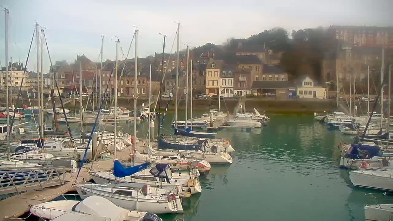 Many sailboats are docked in a marina next to a town on an overcast day.