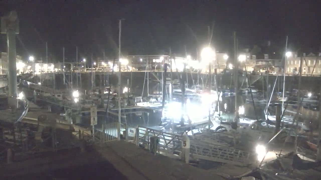 A nighttime view of a harbor filled with numerous boats docked alongside lit buildings.