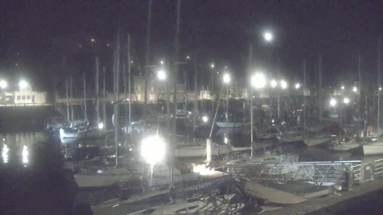 A marina filled with numerous boats is illuminated at night under a clear, moonlit sky.