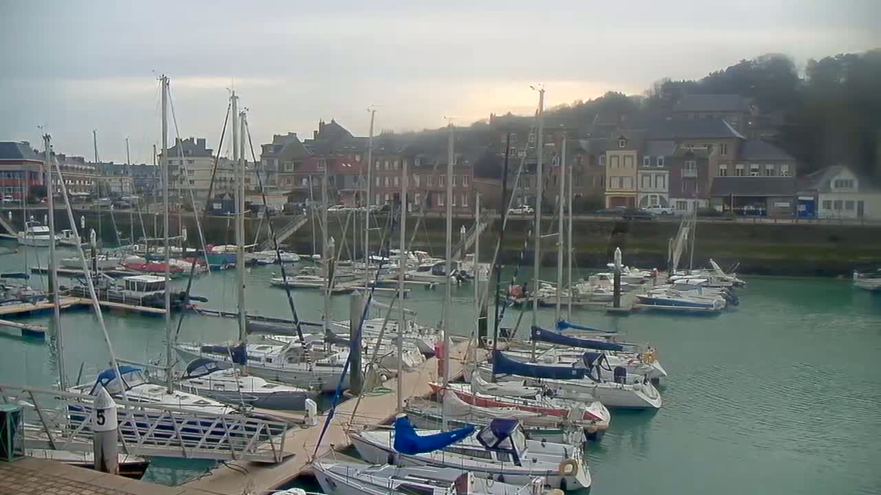 Many sailboats are docked in a marina next to a town on an overcast day.
