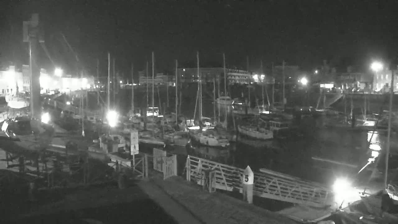A nighttime view of a marina filled with docked sailboats under clear skies.