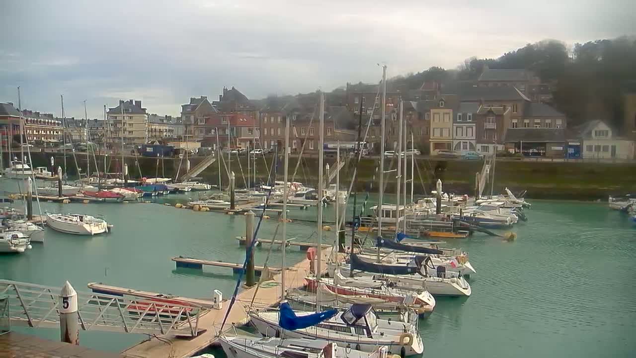 A harbor filled with sailboats and motorboats is nestled next to a town under a cloudy sky.