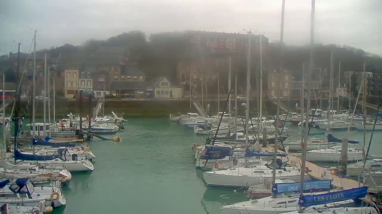 Many sailboats are moored in a harbor on a foggy day, with buildings and hills visible in the background.