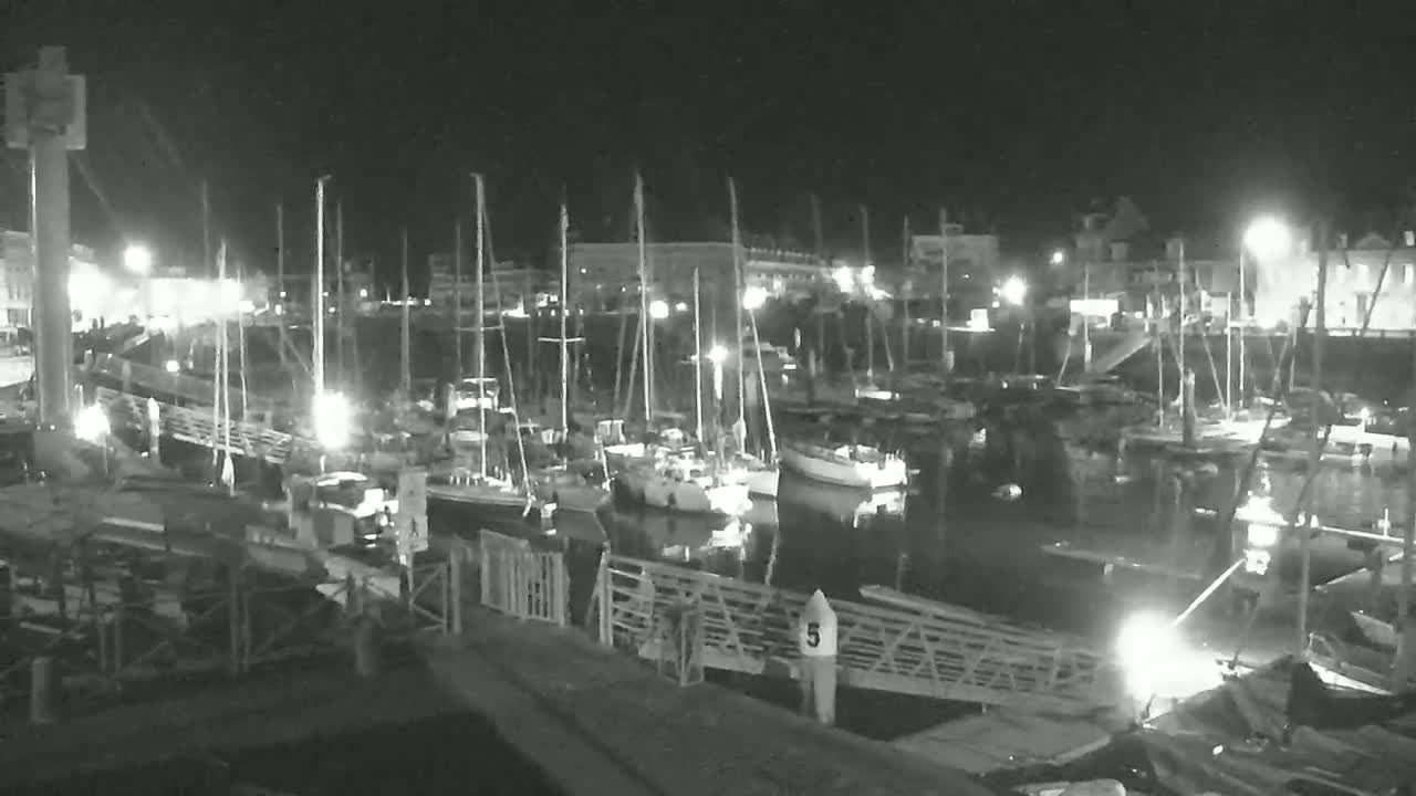 A nighttime view of a harbor filled with sailboats moored alongside a dock under dark, clear skies.