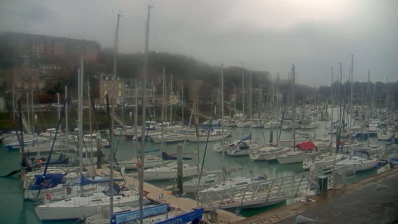 A harbor filled with numerous sailboats is shrouded in fog, with buildings visible in the background on a hillside.