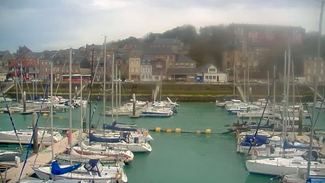 A marina filled with sailboats and motorboats is situated in front of a town built on a hillside, under an overcast sky.