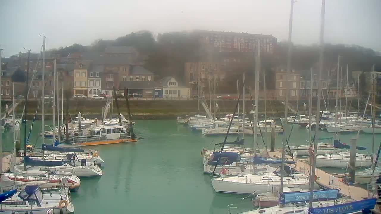 Numerous sailboats are docked in a harbor on an overcast day, with buildings and a hill visible in the background.