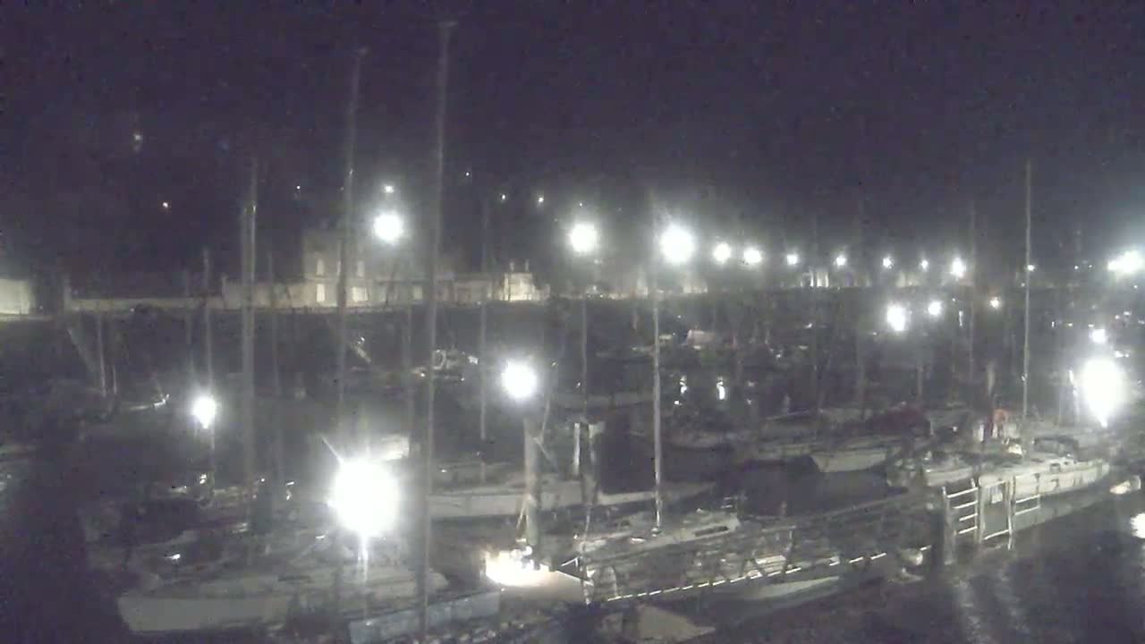Many sailboats are docked at a marina at night under bright lights.