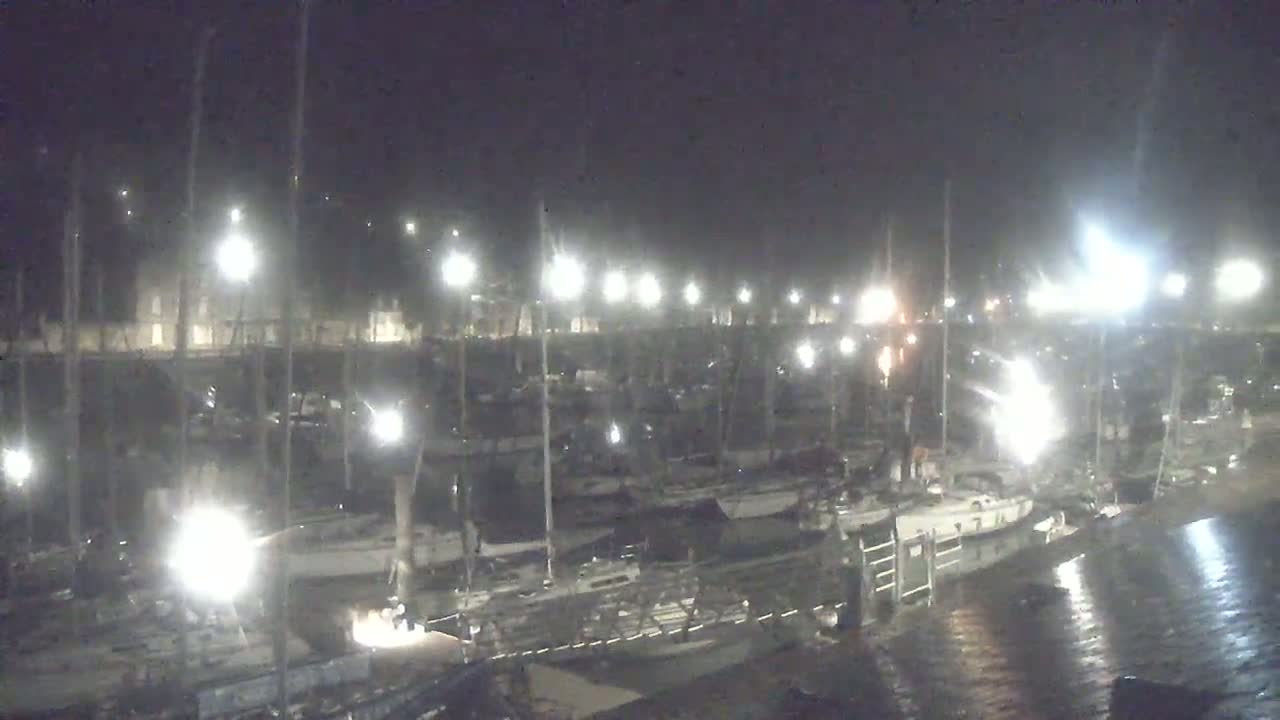 Many boats are docked at a marina at night under bright lights in wet conditions.
