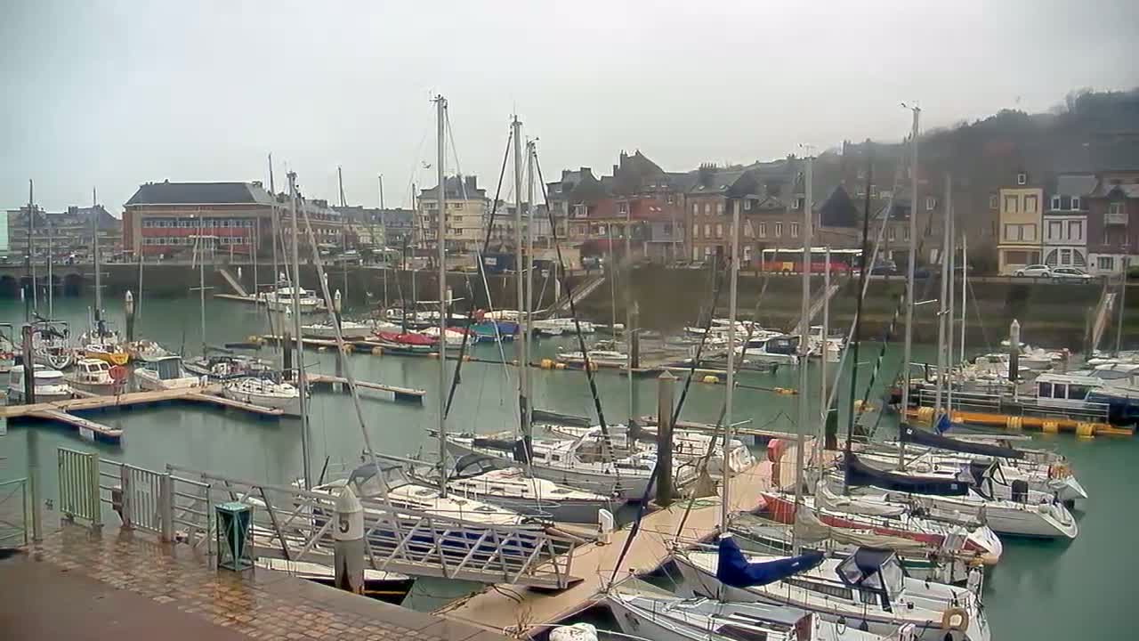 Numerous sailboats are docked in a harbor on an overcast day, with buildings lining the waterfront.