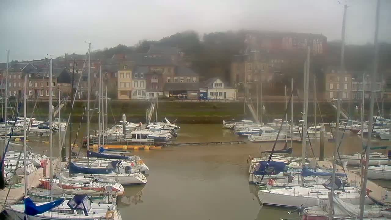 Many sailboats and motorboats are docked in a harbor on a foggy day, with buildings lining the shore in the background.