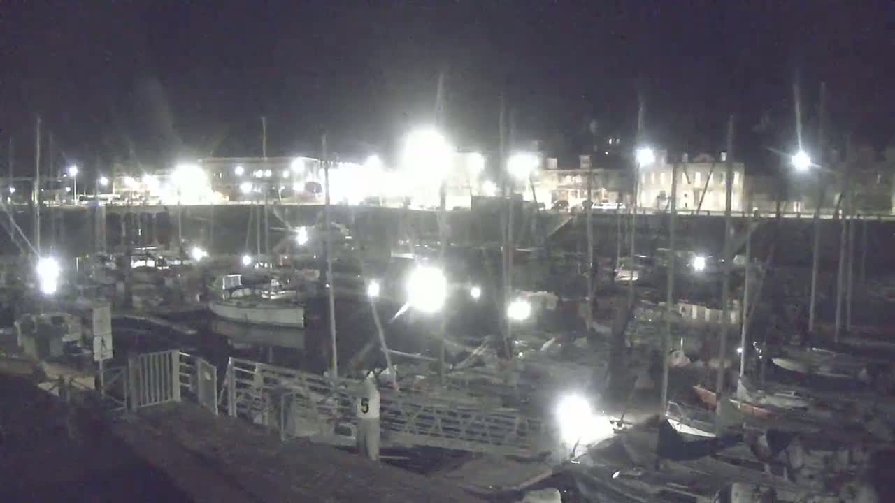 Many boats are docked at a harbor at night under bright lights.