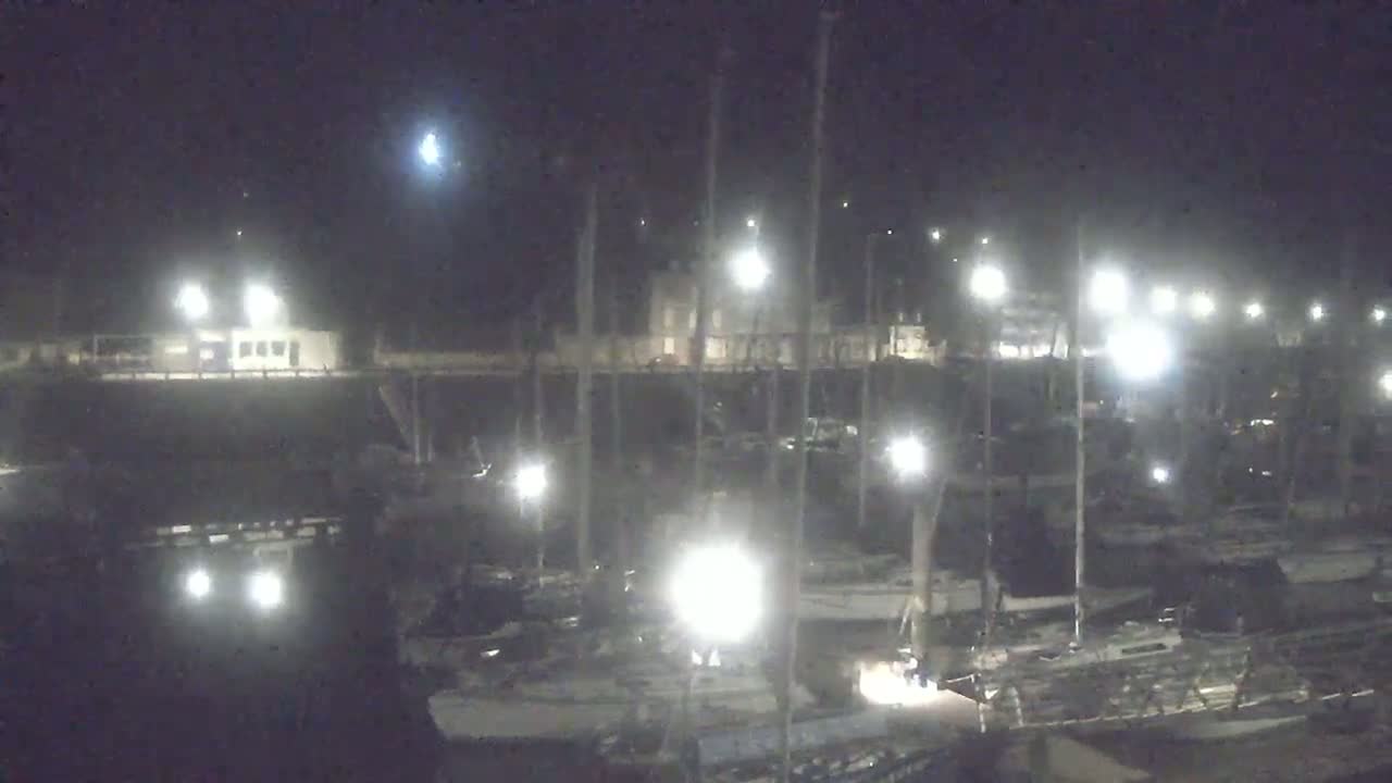 A nighttime view of a marina with numerous boats docked, illuminated by artificial lights under a dark, clear sky.