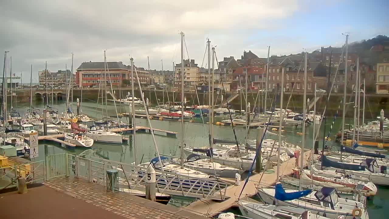 Numerous sailboats are docked in a marina on a cloudy day, with buildings lining the waterfront in the background.