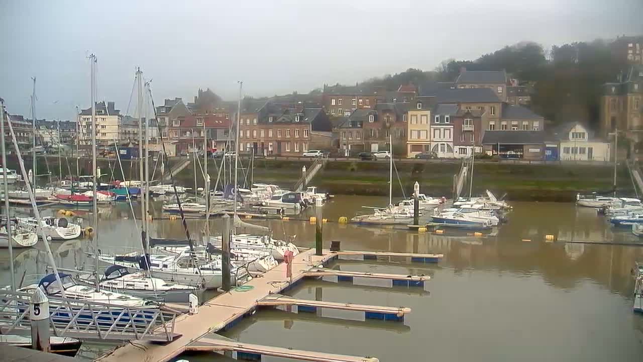 A marina filled with sailboats and motorboats on a foggy day, with a town of multi-story buildings visible in the background.