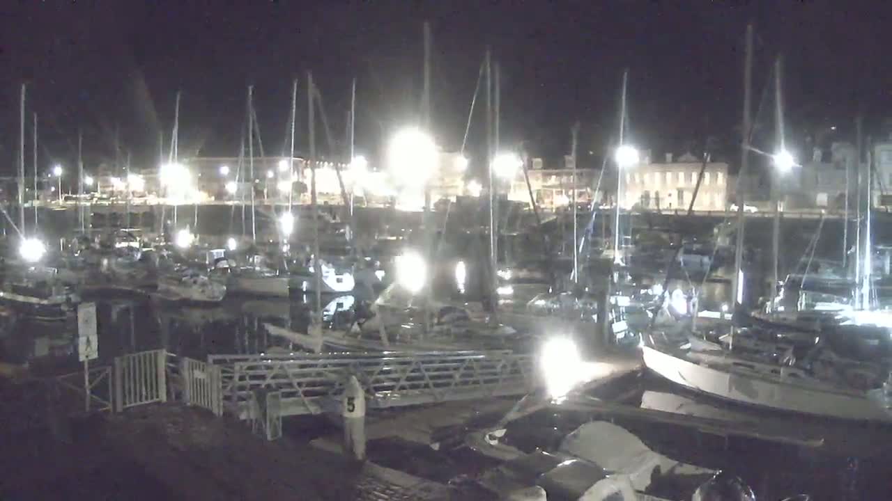 Many sailboats are docked at a marina at night under clear skies.
