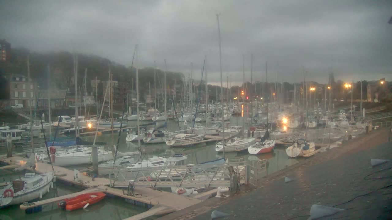 Many sailboats are moored in a marina under a cloudy, overcast sky.