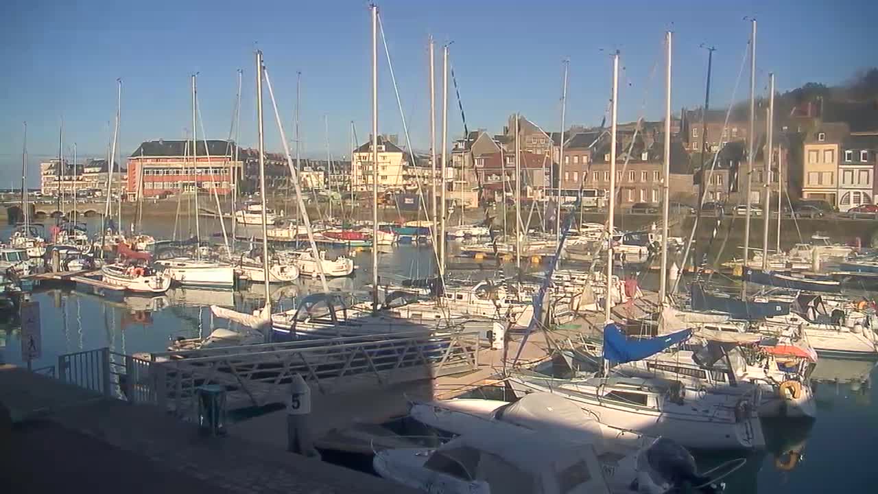 Many sailboats are docked in a harbor on a sunny day, with a town visible in the background.