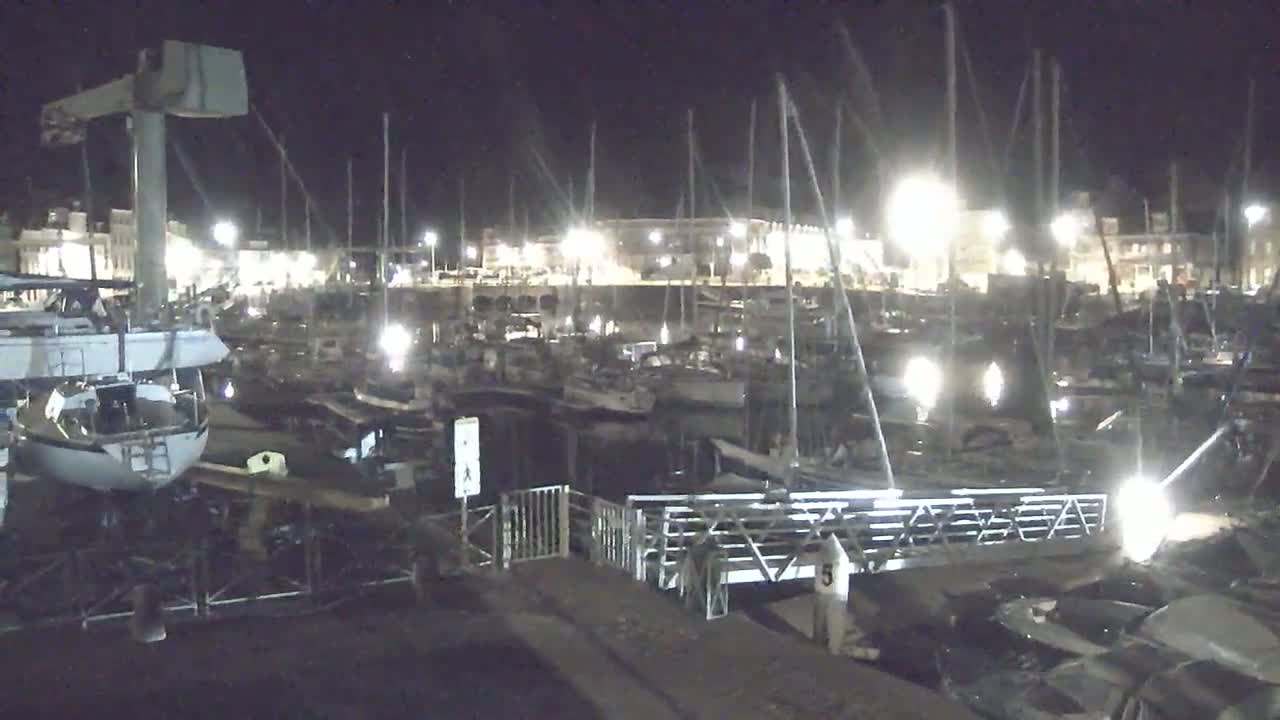 A nighttime view of a marina filled with numerous boats and yachts, illuminated by artificial lights.