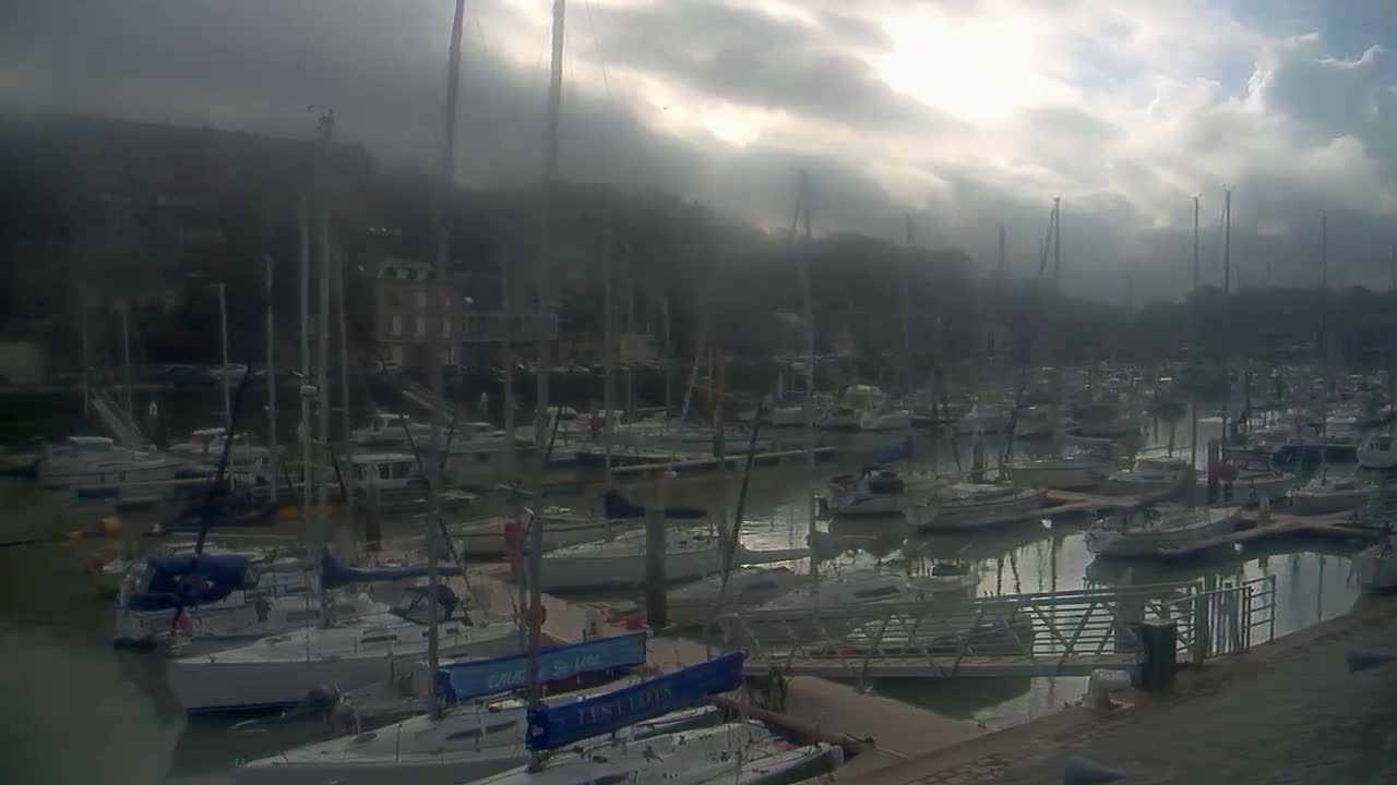 Many sailboats are moored in a harbor under a cloudy sky.