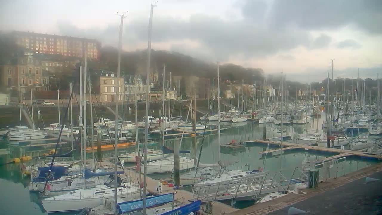 A marina filled with numerous sailboats is nestled below a hillside of buildings under an overcast sky.