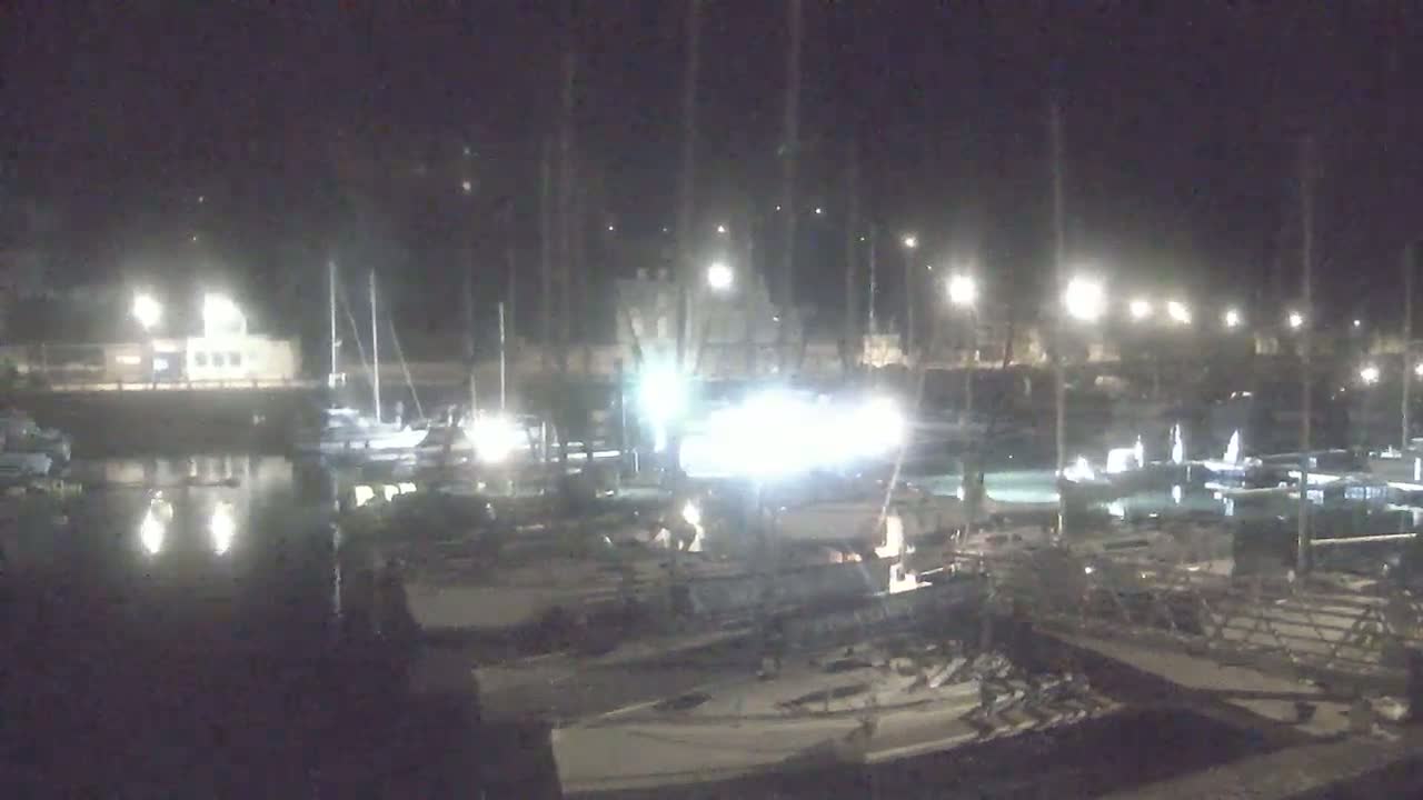 Many sailboats are docked at a marina at night under bright lights.