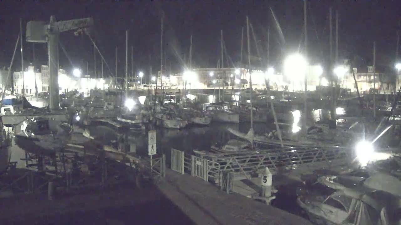 A nighttime view of a marina filled with sailboats and motorboats docked under artificial lights.