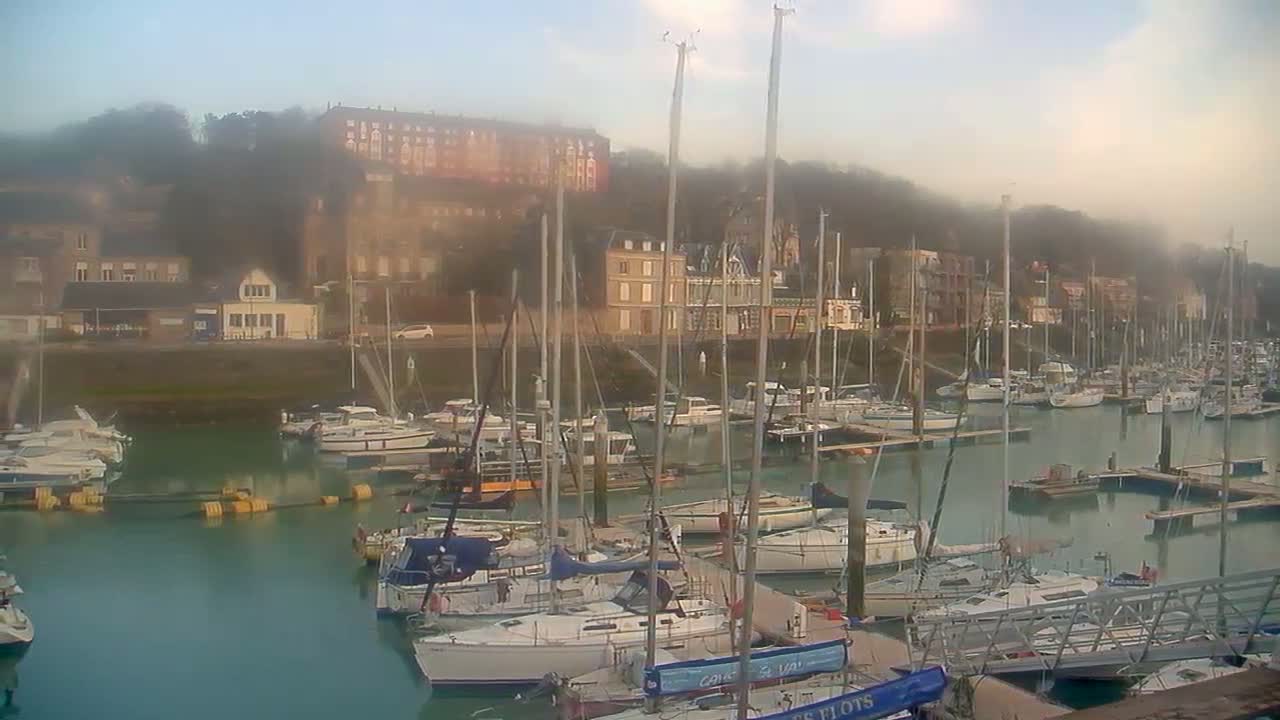 A foggy harbor filled with numerous sailboats docked at piers, with buildings and hills visible in the background.