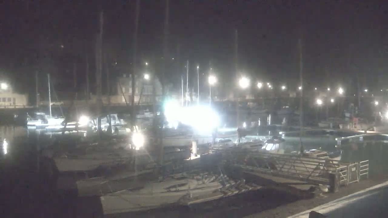 A nighttime view of a marina filled with boats under artificial lighting.