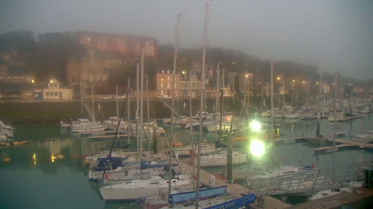 Many sailboats are docked in a marina on a foggy day, with buildings and hills visible in the background.