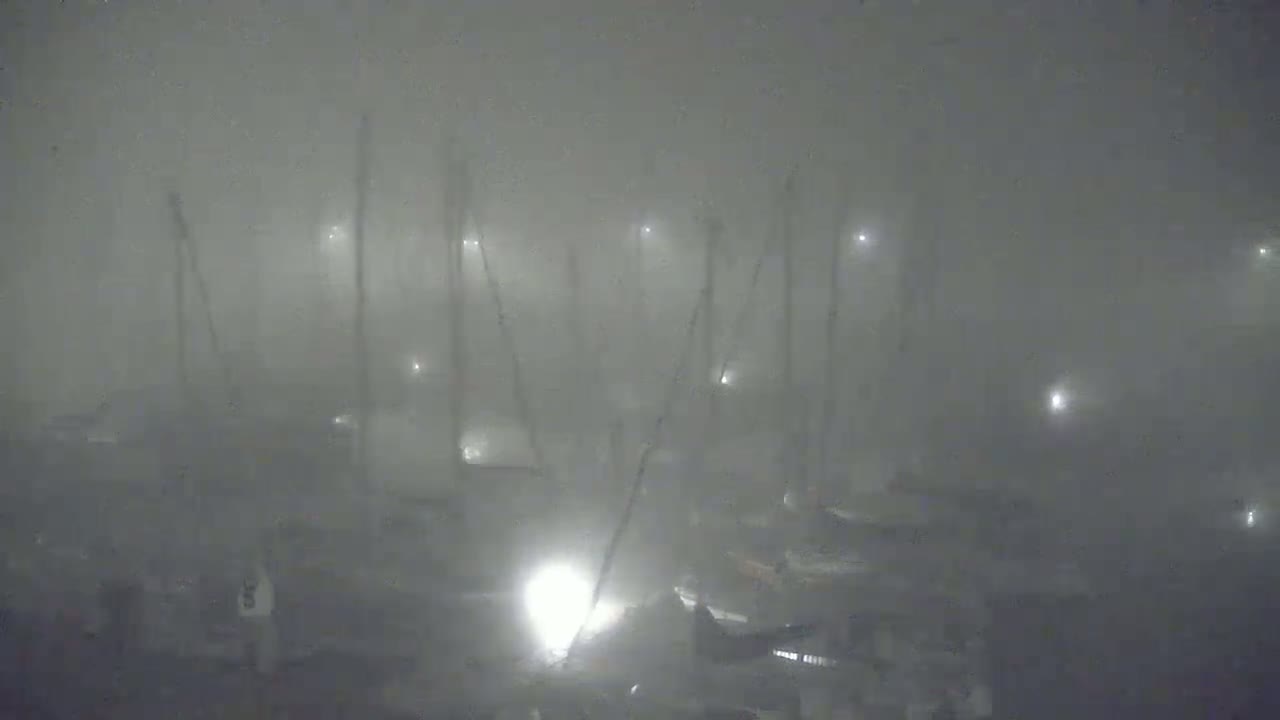 Many boats are moored in a harbor shrouded in thick fog at night.